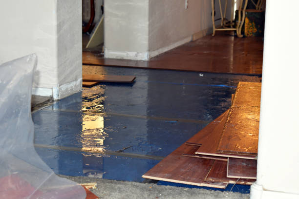 Professional Water Damage Restoration technician working in Sharon, WI